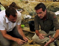 C'est pas sorcier : Des dinosaures sous nos pieds