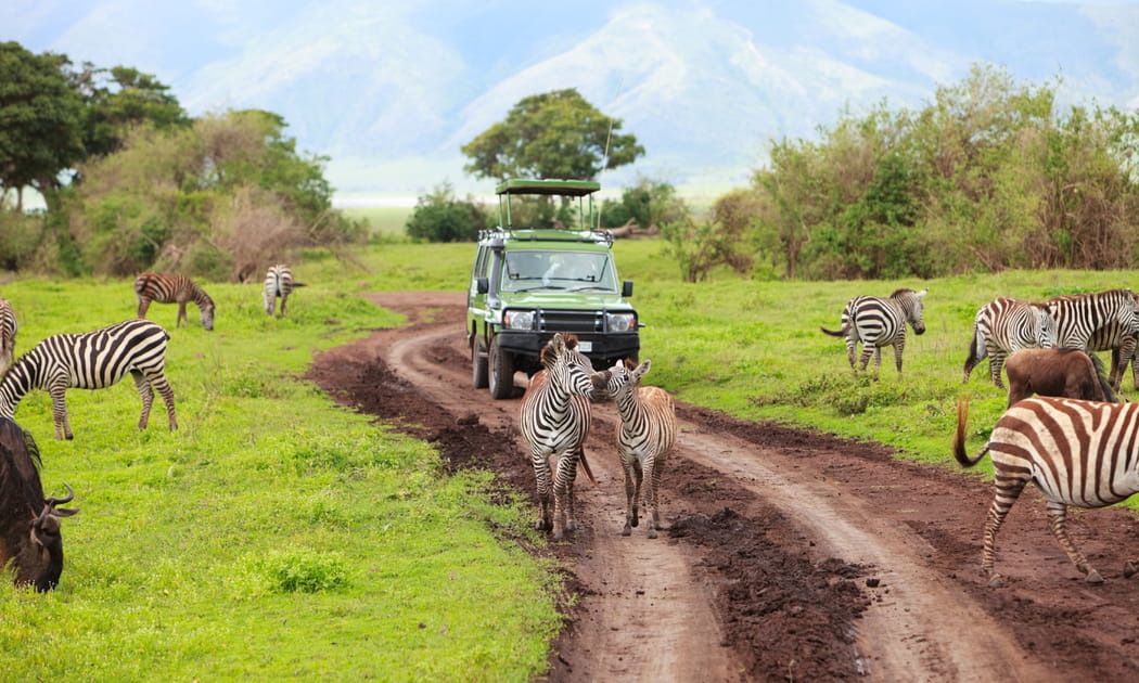 La Tanzanie, le paradis des safaris