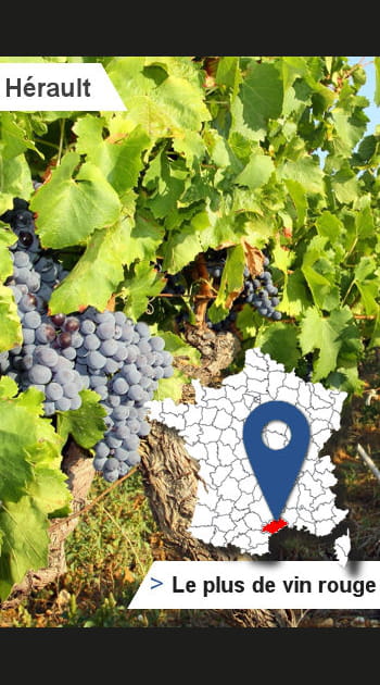 34 &ndash; H&eacute;rault&nbsp;: la&nbsp;plus grande production de&nbsp;vin rouge