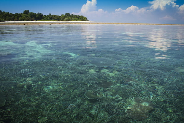 Sipidan dans la mer des Célèbes