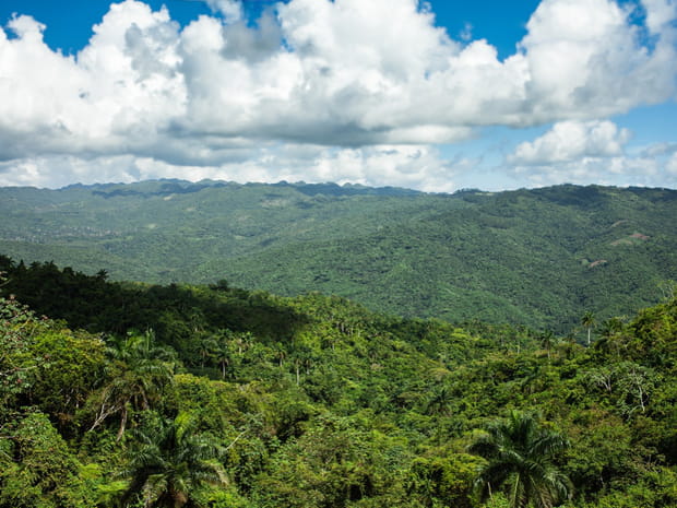 La verte Sierra Maestra