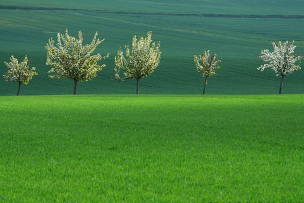 Campagne seine-et-marnaise