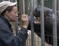 Une saison au zoo