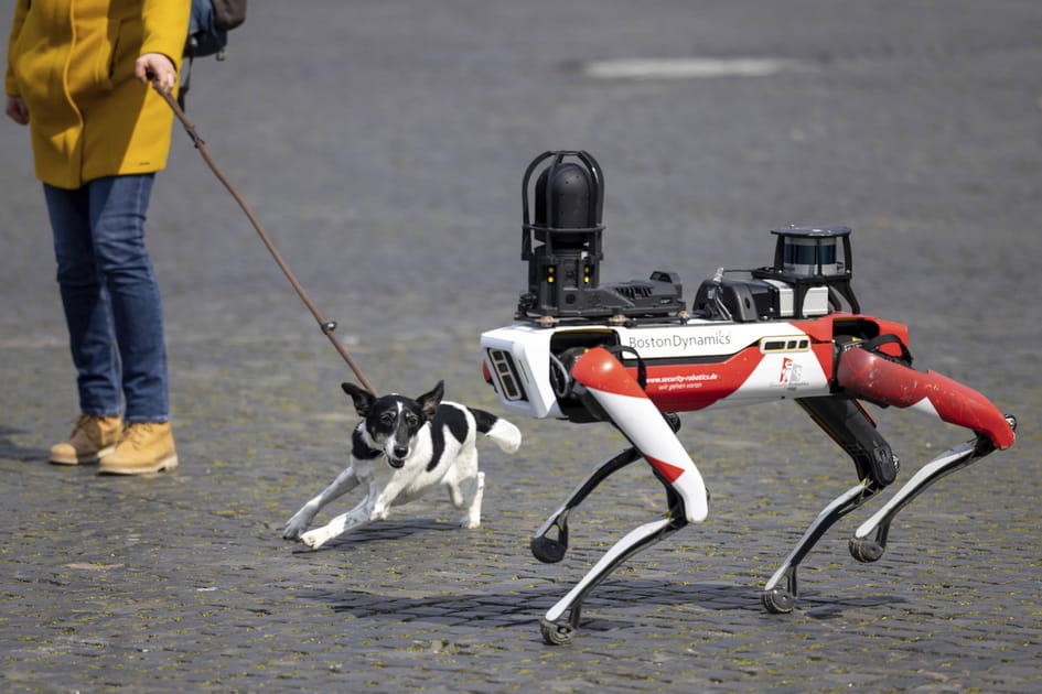 Robot de s&eacute;curit&eacute;