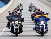 Born To Be Wild : Examen de passage