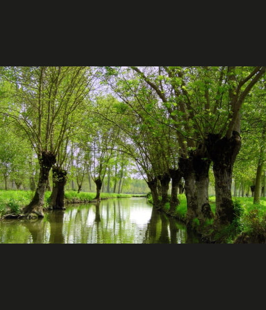 Le Marais Poitevin