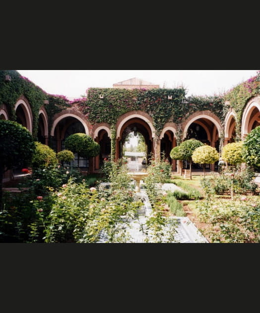 Fra&icirc;cheur d'une cour