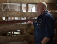 L'incroyable Dr Pol : Pris au dépourvu