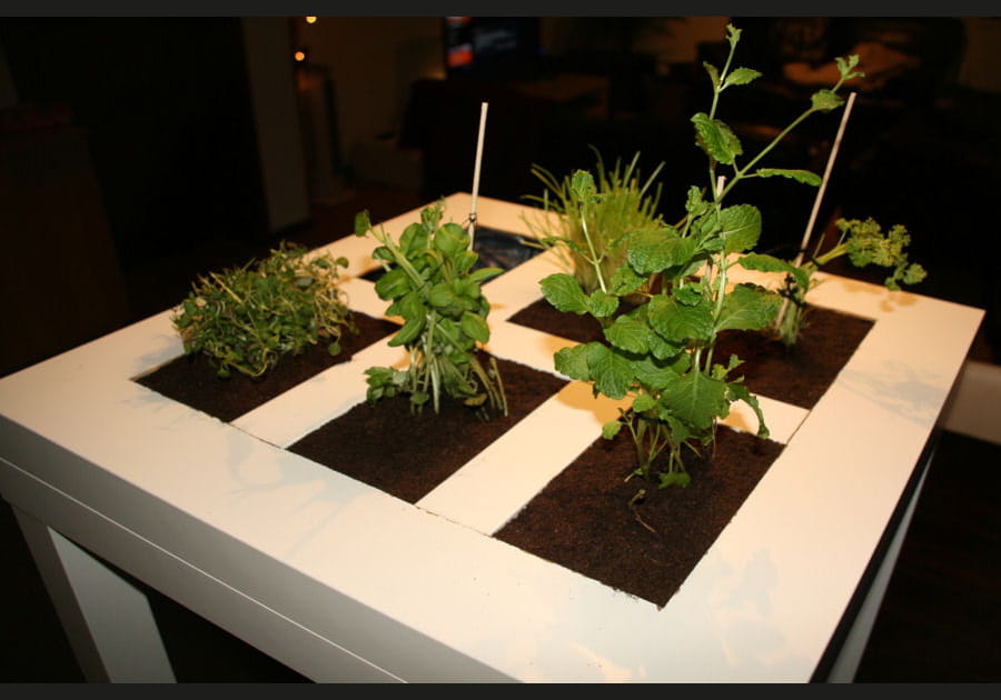 Une table basse qui fait office de potager