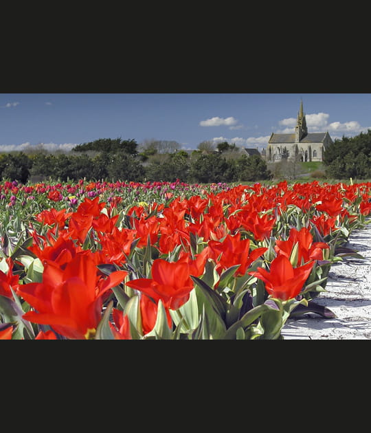 Profusion de couleurs