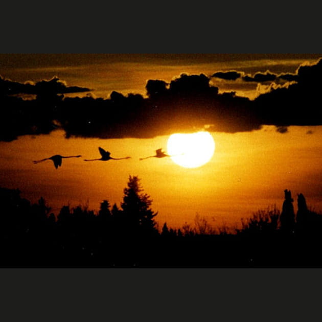 Vol de nuit &agrave; Lansargues