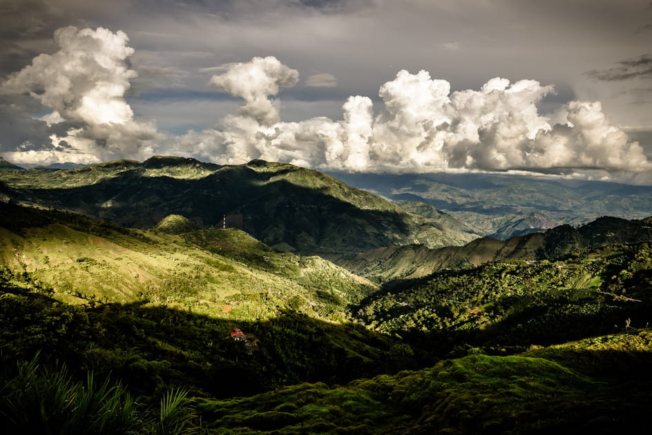 La Colombie et l'Arabica