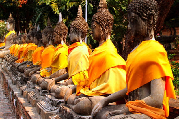 Bouddhas parés de jaune à Ayutthaya