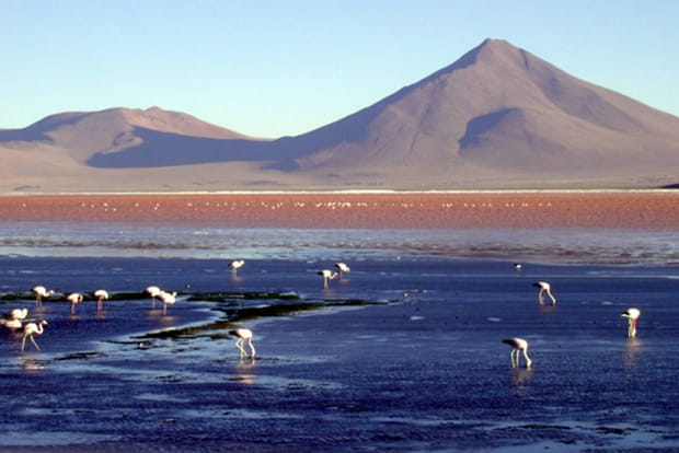 Laguna Colorada