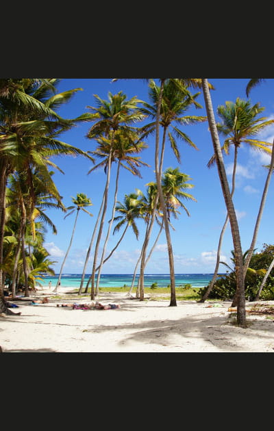 &quot;La Martinique est une &icirc;le plate en comparaison de la Guadeloupe&quot;