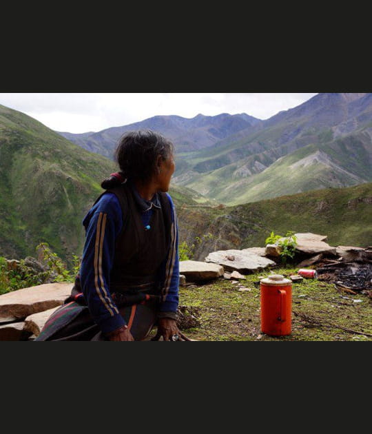 L'&eacute;pouse du lama