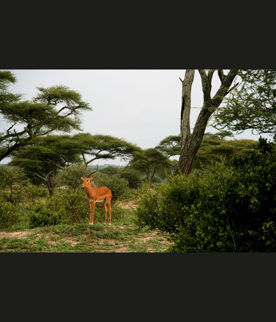 Rencontre ocre