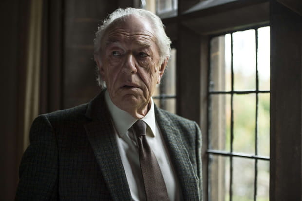 Michael Gambon (Dumbledore) emporté par une pneumonie