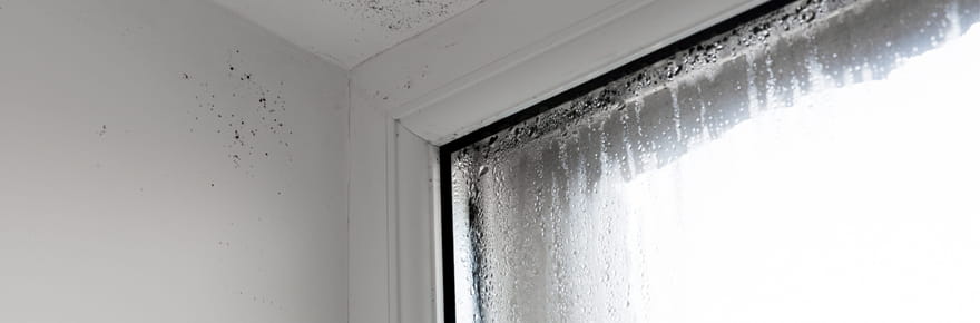 Adieu condensation et moisissure sur les fen&ecirc;tres&nbsp;: c'est la solution la plus efficace pour l'emp&ecirc;cher cet automne