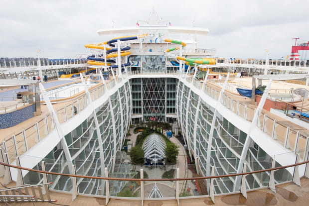 Un nouveau géant des mers