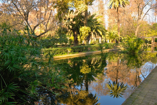 Les jardins de Séville
