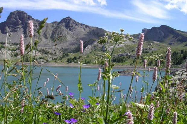 Parc national du Mercantour