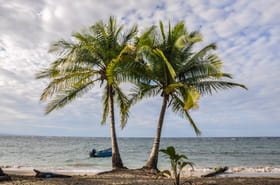 S&eacute;isme et risque de tsunami &agrave; la Guadeloupe&nbsp;: ce que l'on sait