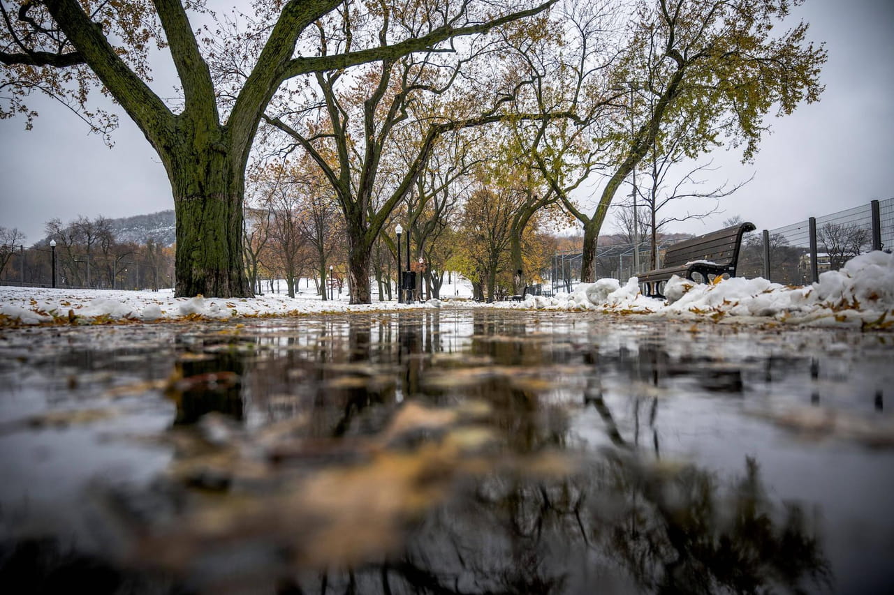 Froid et neige en France : quels sont les départements en alerte et les prévisions ce dimanche ?
