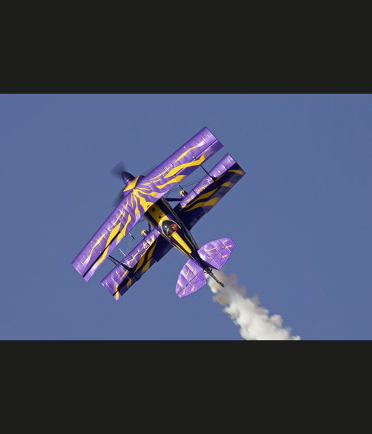 Le Purple Violet