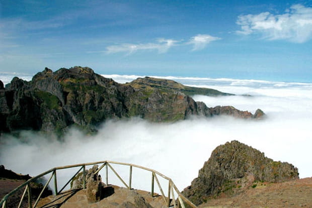Madère, une île fleurie