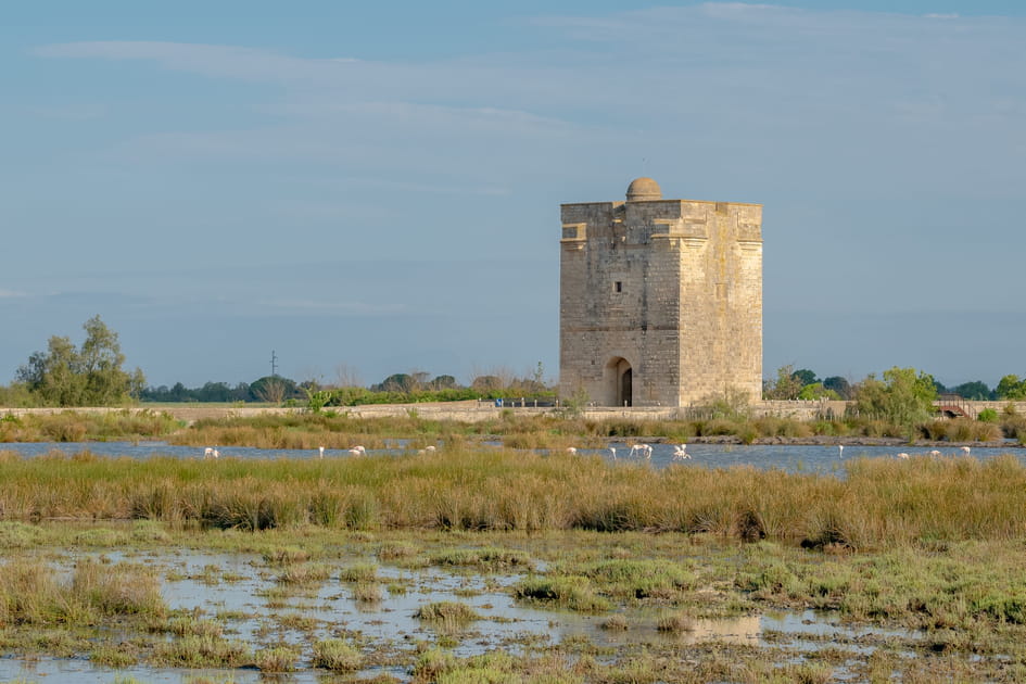 Saint-Laurent d'Aigouze, aux c&oelig;ur des traditions taurines