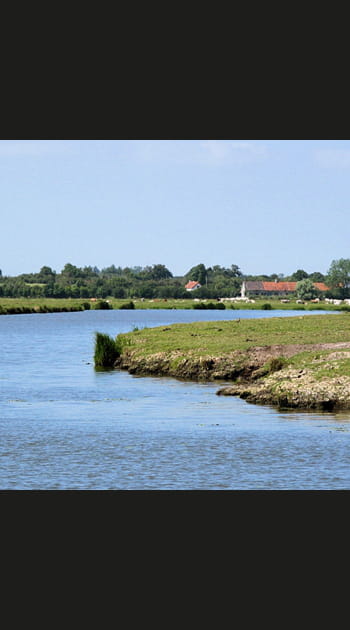 Les marais du Cotentin