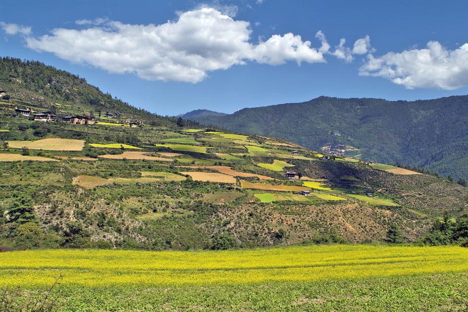 La r&eacute;gion du Gangkhar Puensum&nbsp;&agrave; contempler&hellip; de loin