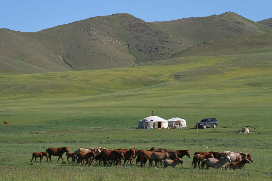 La Mongolie, avec une bonne assurance