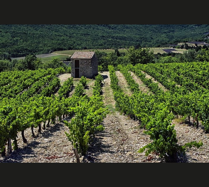 Coteaux &agrave; Dieulefit