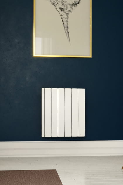 Les radiateurs &agrave; simple corps de chauffe, une entr&eacute;e de gamme efficace&nbsp;?