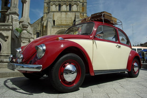 Coccinelle rouge et blanche