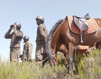 Kenya, les gardiens de la montagne