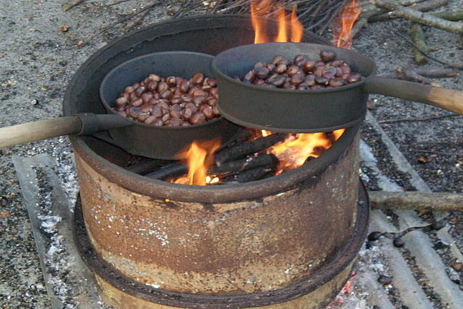 Les Castagnades des Monts d'Ard&egrave;che