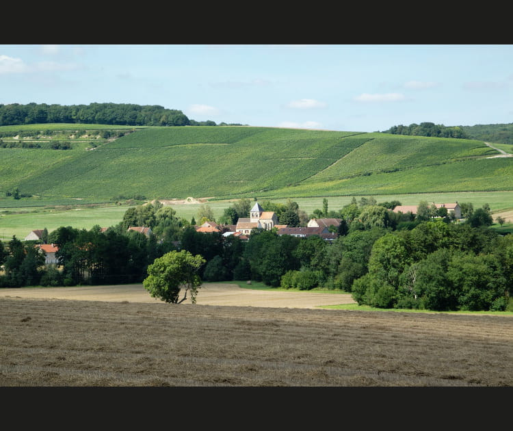 Sur la route des fromages et cidres en Brie