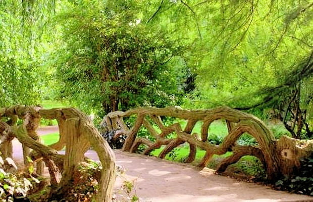 L'arboretum de Reims