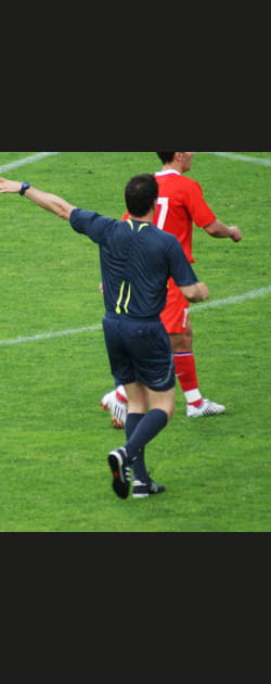 Un arbitre au paradis