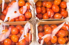 "Vérifiez toujours ça..." : un employé de Lidl dévoile le secret pour choisir de bonnes tomates cerises au supermarché