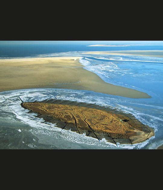 La mer des Wadden en Allemagne