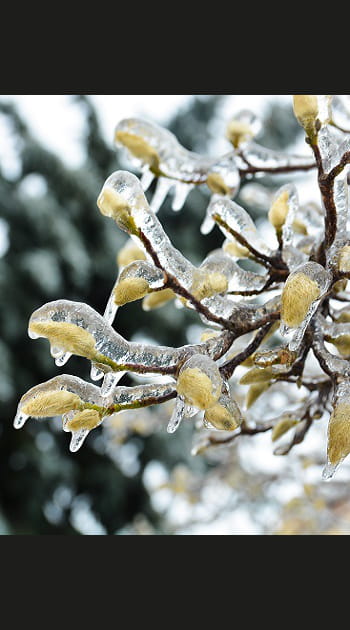 M&eacute;t&eacute;o de Mars 2015 : le froid fera de la r&eacute;sistance