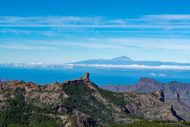 Le Pico de las Nieves