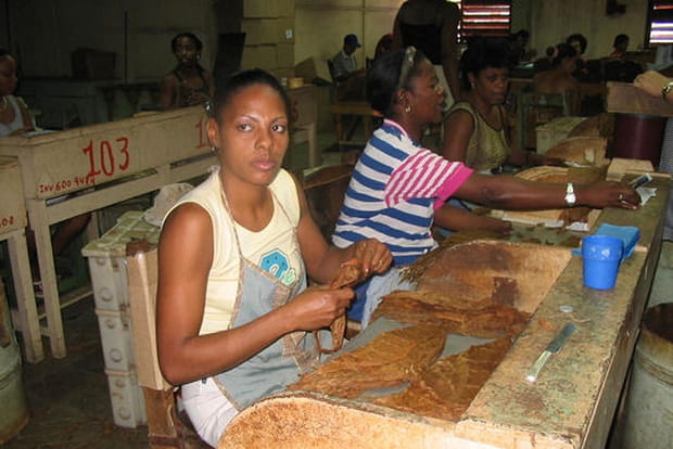 Les ateliers de cigares
