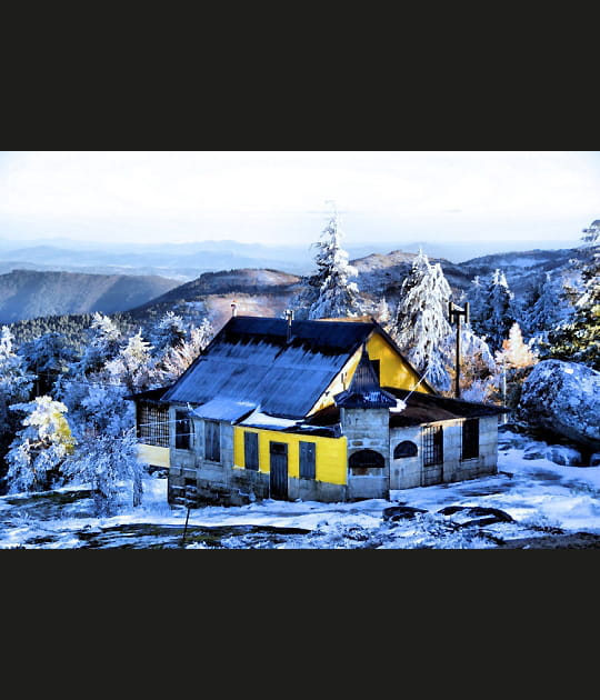 La maison jaune