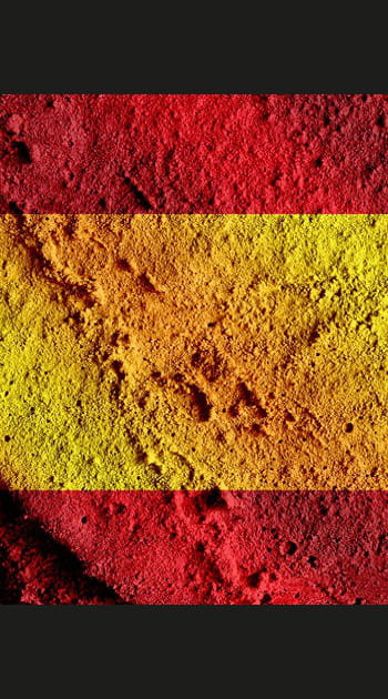 Espagne : 5 % des immigr&eacute;s arriv&eacute;s en 2012