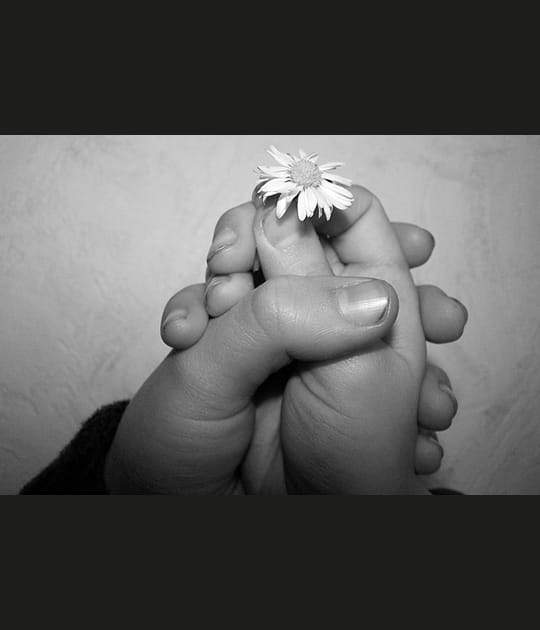 Petites mains